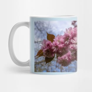 Spring blossom. Mug